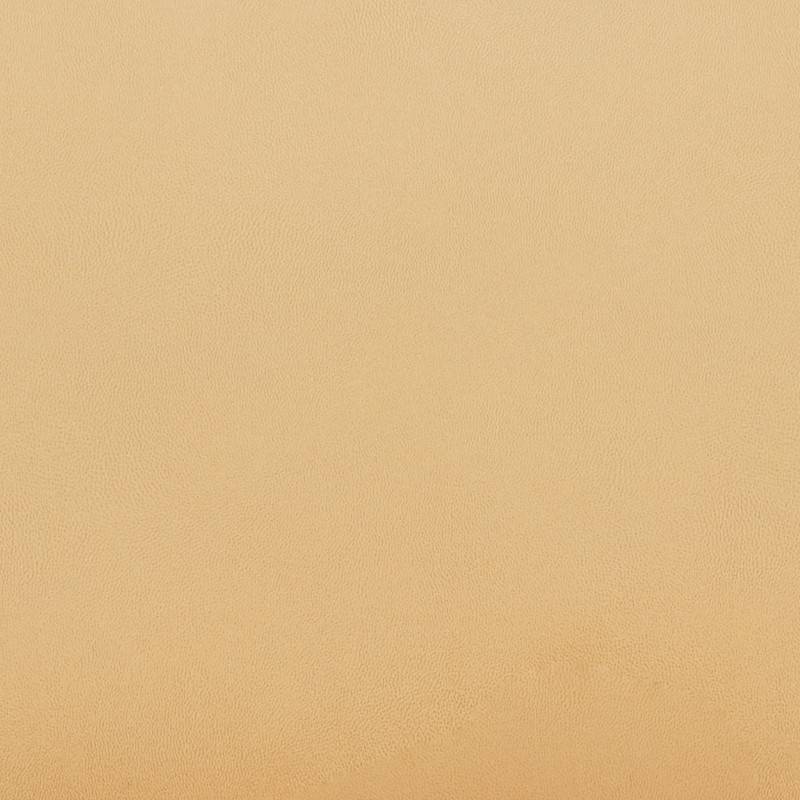 556338-7